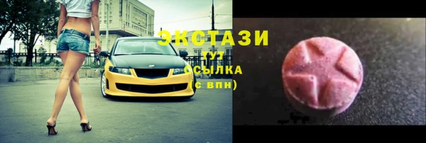 шишки Лабытнанги