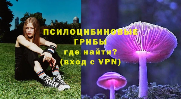 кокс Лагань