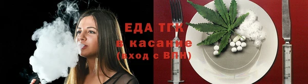 шишки Лабытнанги