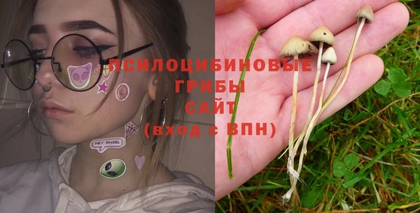 мдпв Майский