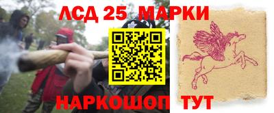 марки nbome Гусев