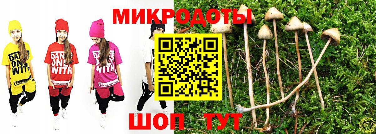 Галлюциногенные грибы Psilocybe  Ипатово  хочу наркоту  Псилоцибиновые грибы ЛСД 