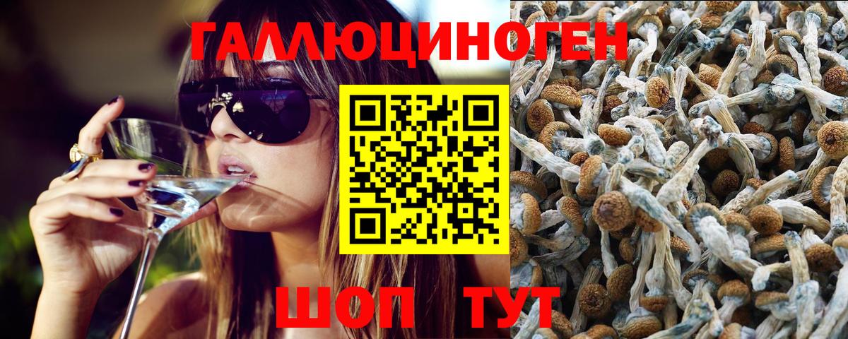 Ипатово  Галлюциногенные грибы прущие грибы  Галлюциногенные грибы Cubensis  Вход с VPN 