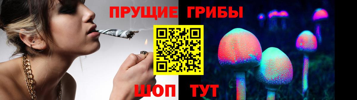 Галлюциногенные грибы прущие грибы Ипатово